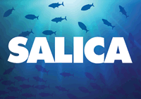 Salica